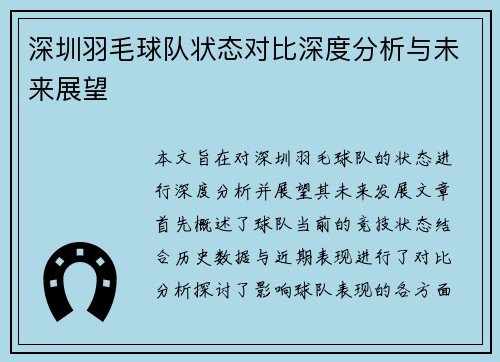 深圳羽毛球队状态对比深度分析与未来展望
